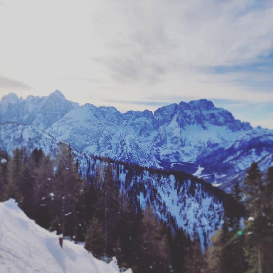 Al Sentiero Di Charly Bed & Breakfast Tarvisio Luaran gambar