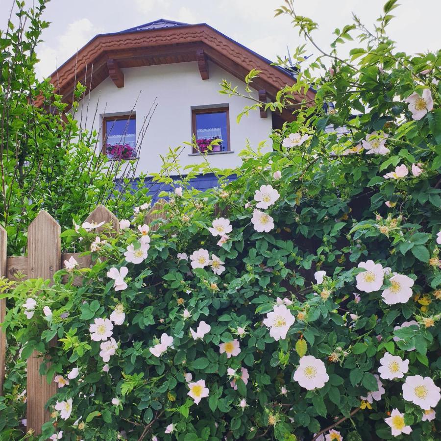 Al Sentiero Di Charly Bed & Breakfast Tarvisio Luaran gambar