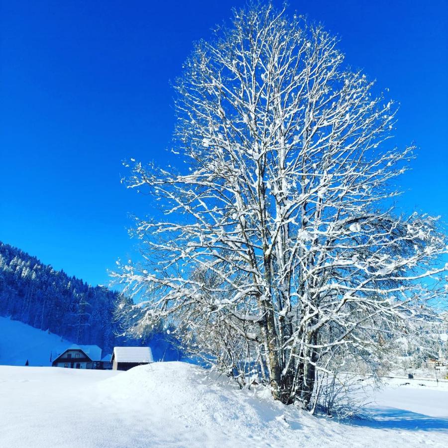 Al Sentiero Di Charly Bed & Breakfast Tarvisio Luaran gambar