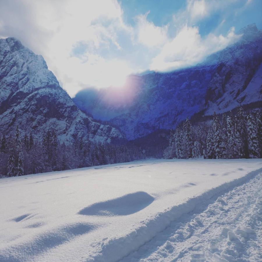 Al Sentiero Di Charly Bed & Breakfast Tarvisio Luaran gambar