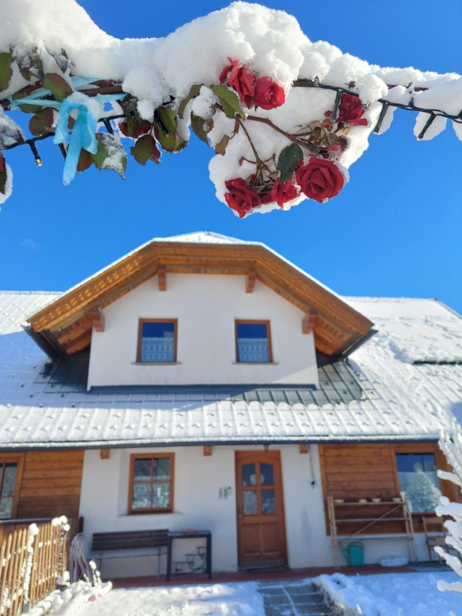 Al Sentiero Di Charly Bed & Breakfast Tarvisio Luaran gambar